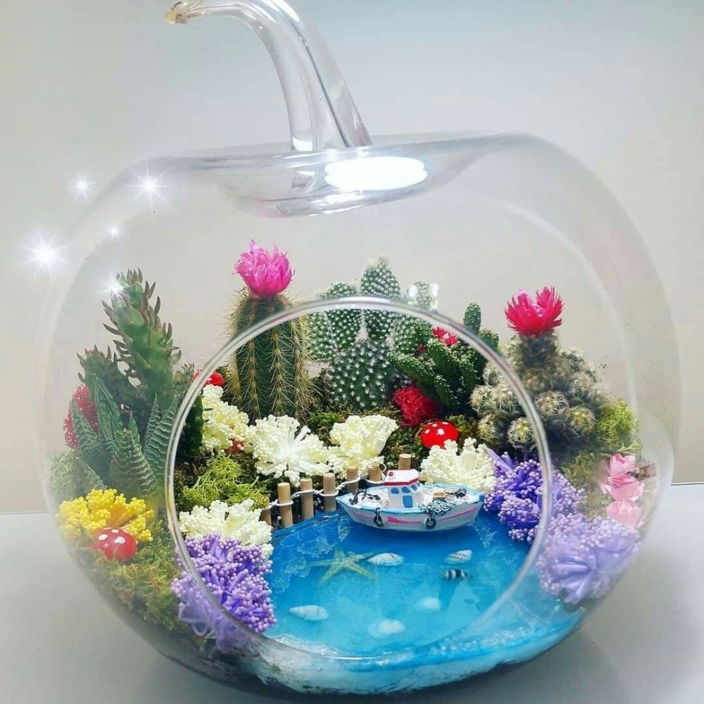 Флорариум микромир