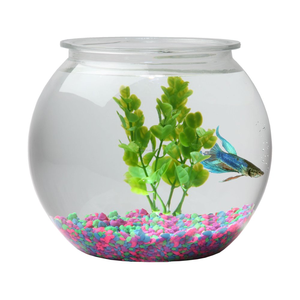 Палюдариум тропики