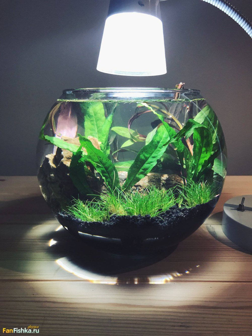 Флорариум с водопадом