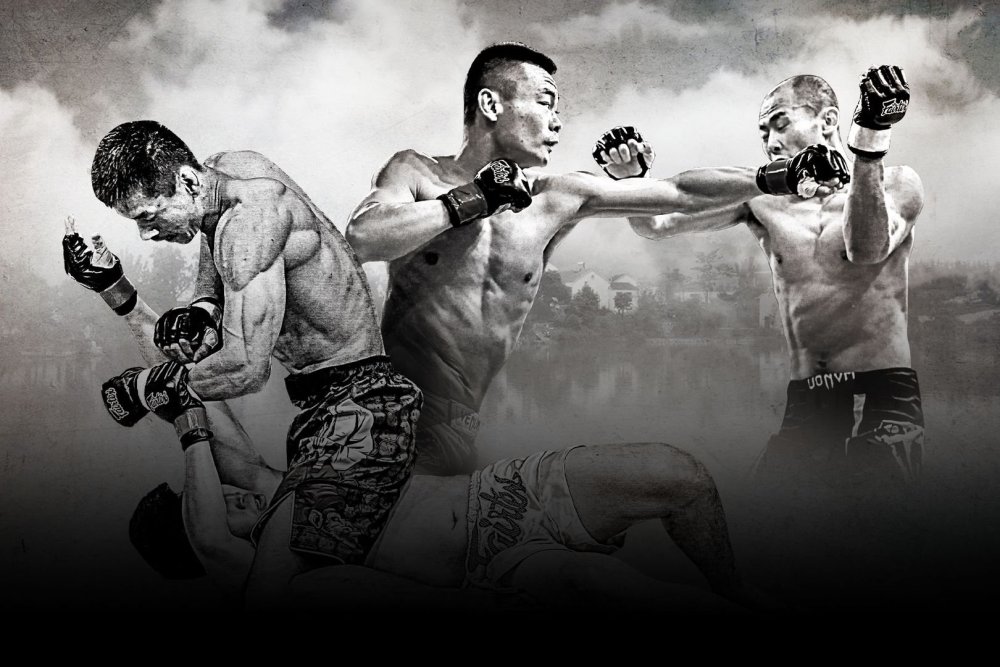 Спорт единоборства