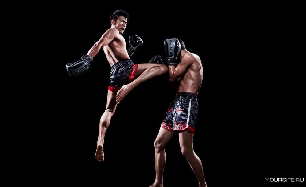 Муай Тай (2007)