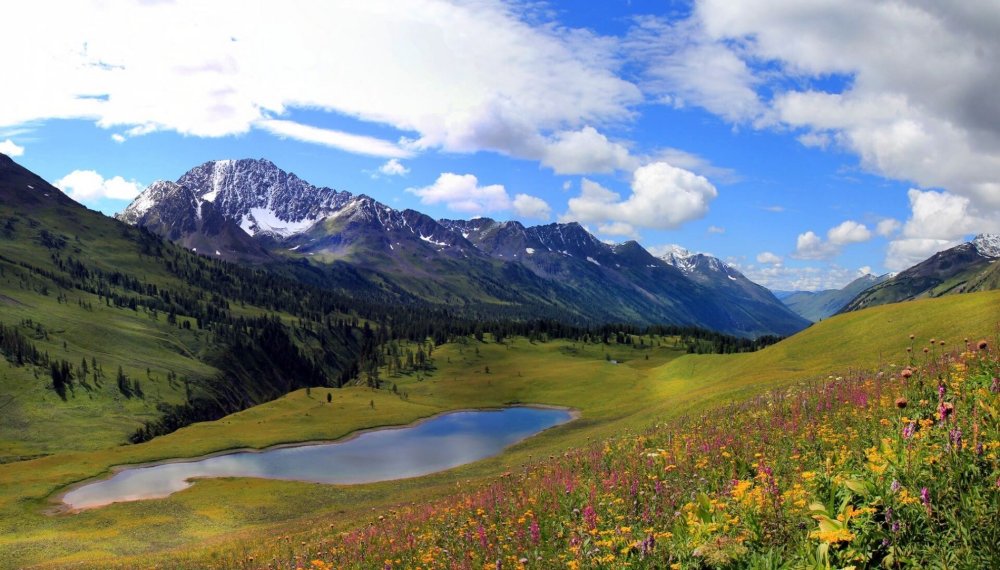 Катон Карагай Белуха