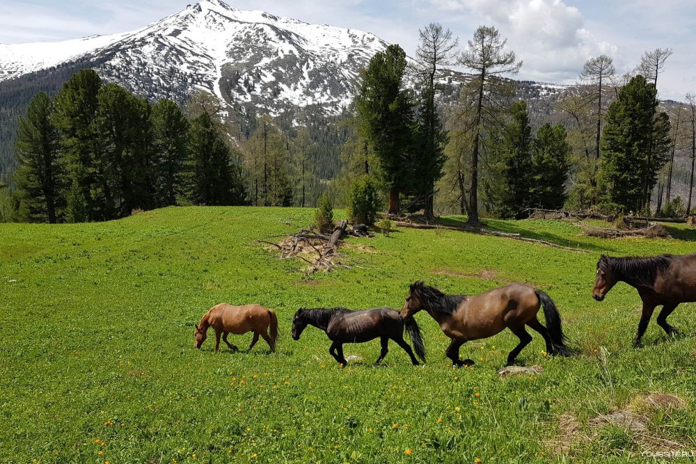 Катон Карагай Казахстан