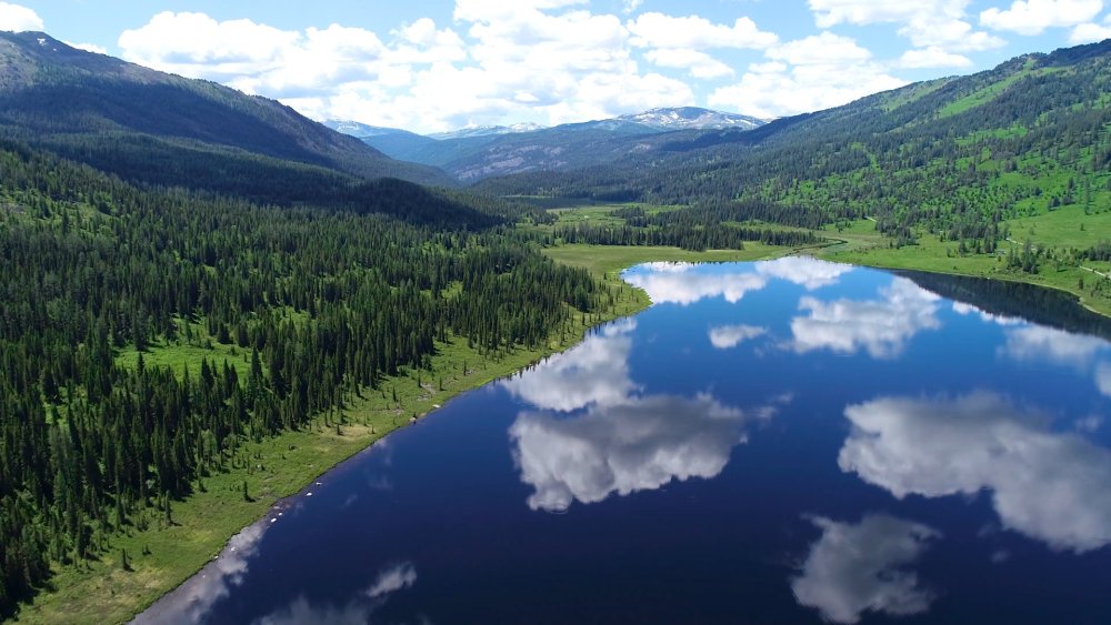 Казакстаннын табигатын коргау