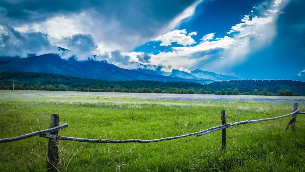 ВКО Катон Карагайский район