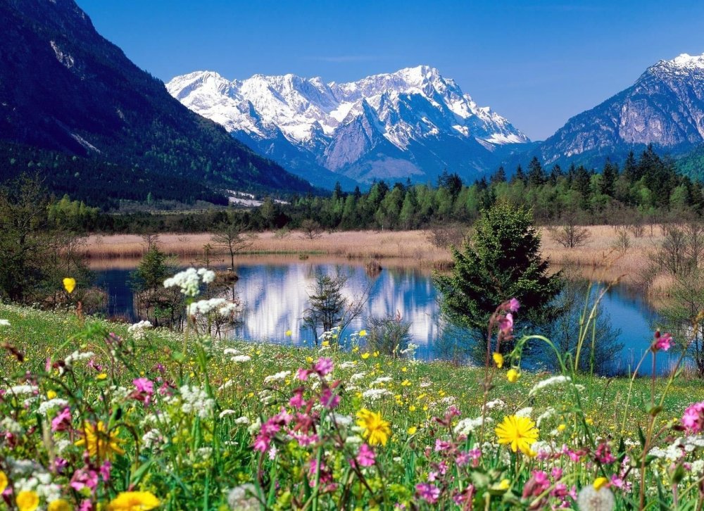 Озеро деревья горы Алтай Домбай