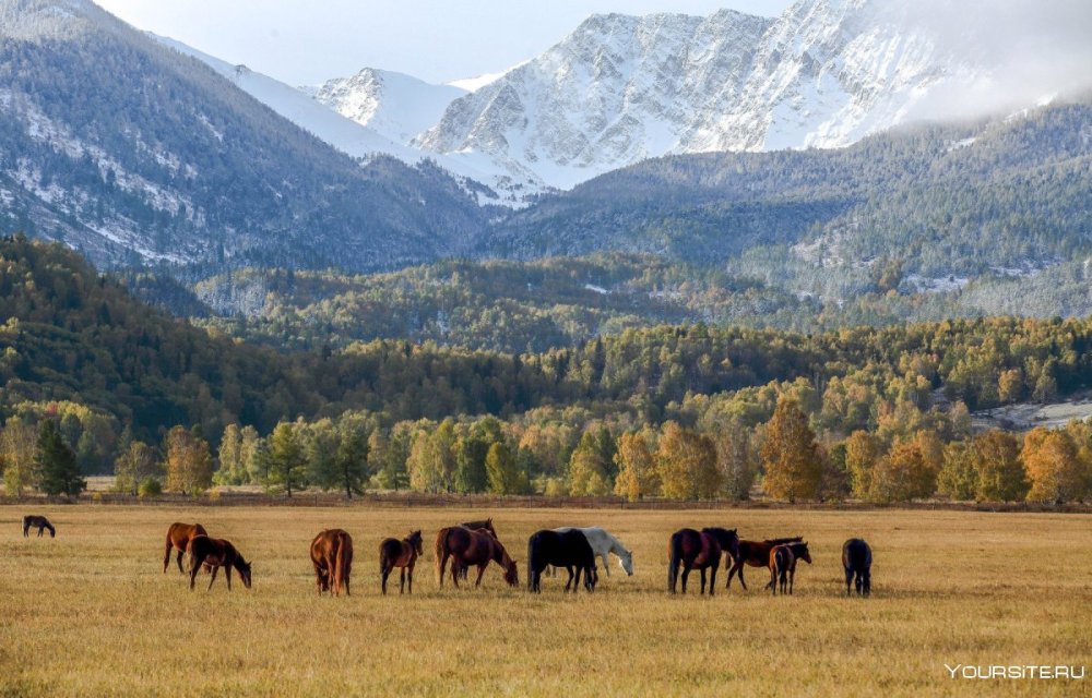 Катон Карагай Казахстан