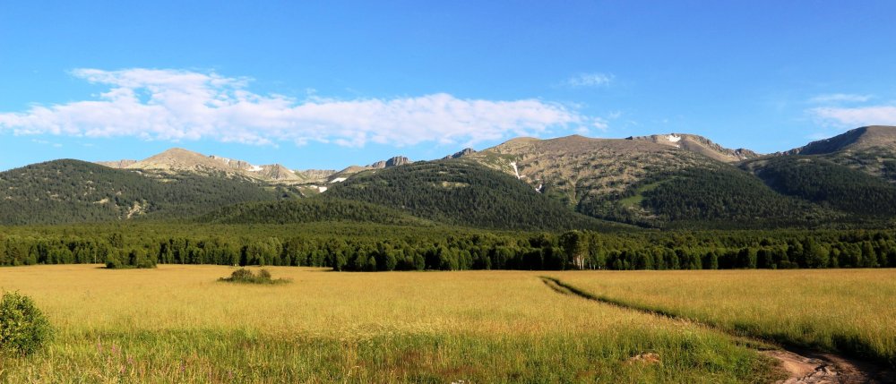 Просторы восточного Казахстана