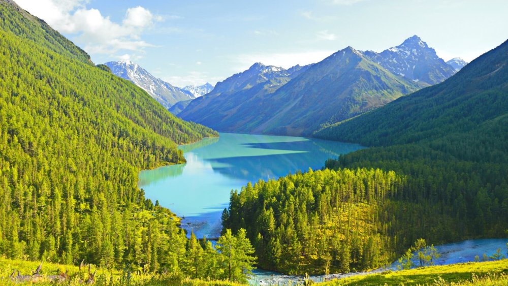 Кучерлинское озеро Алтай