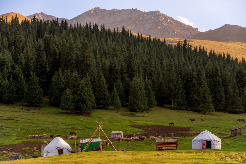 Катон-Карагайский национальный парк