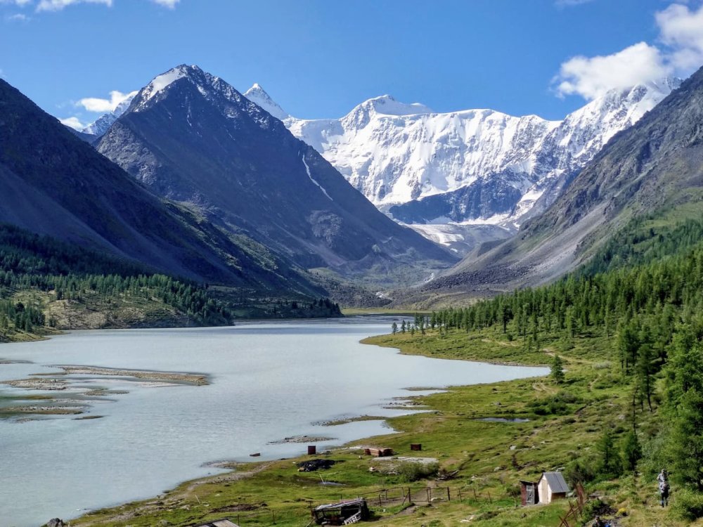 Альпийские Луга новая Зеландия