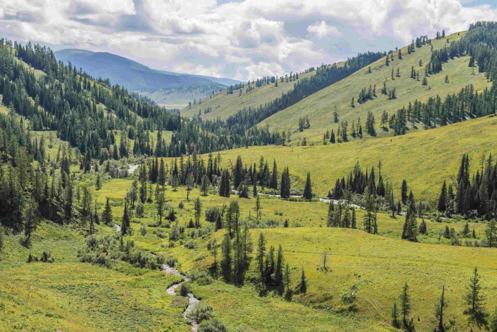 Катон-Карагайский район Восточно-Казахстанской области