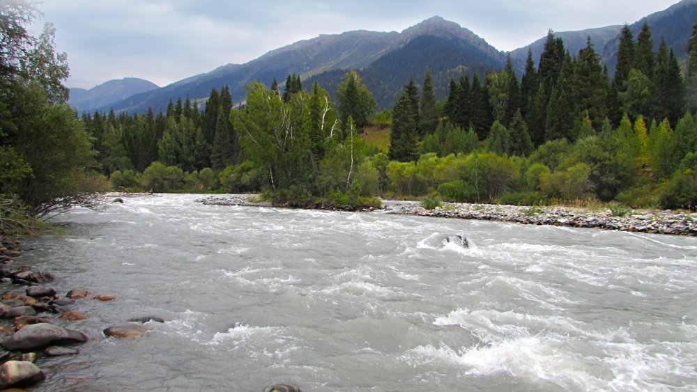Катон Карагайский заповедник
