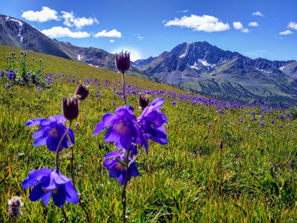 Катон Карагай Казахстан