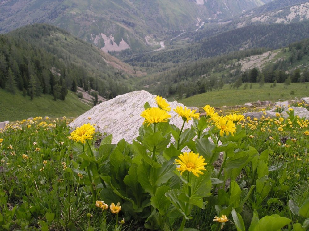 Катон Карагай