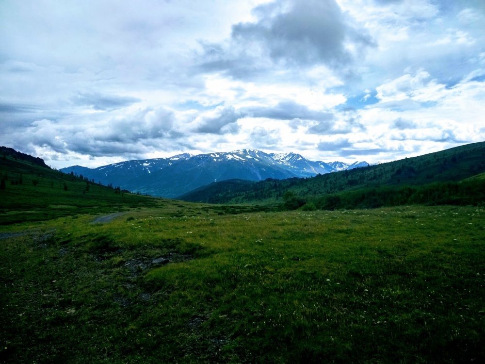 Зафидин Ахмедбеков