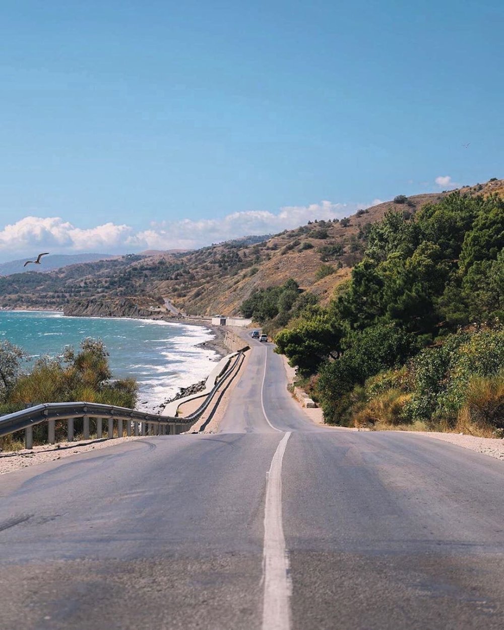 Алушта Севастополь дорога