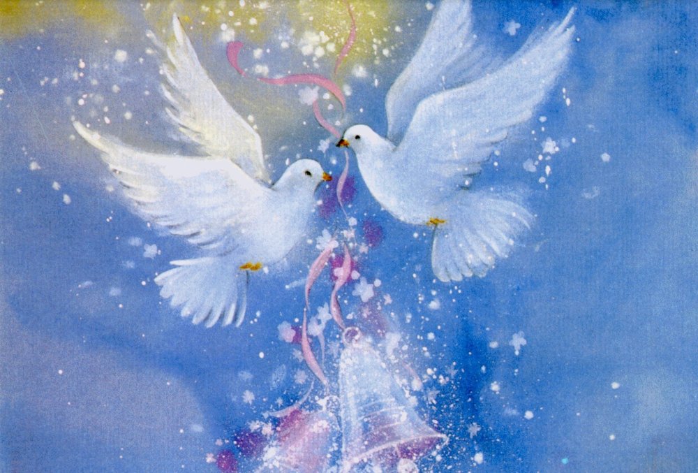 Два голубя в небе