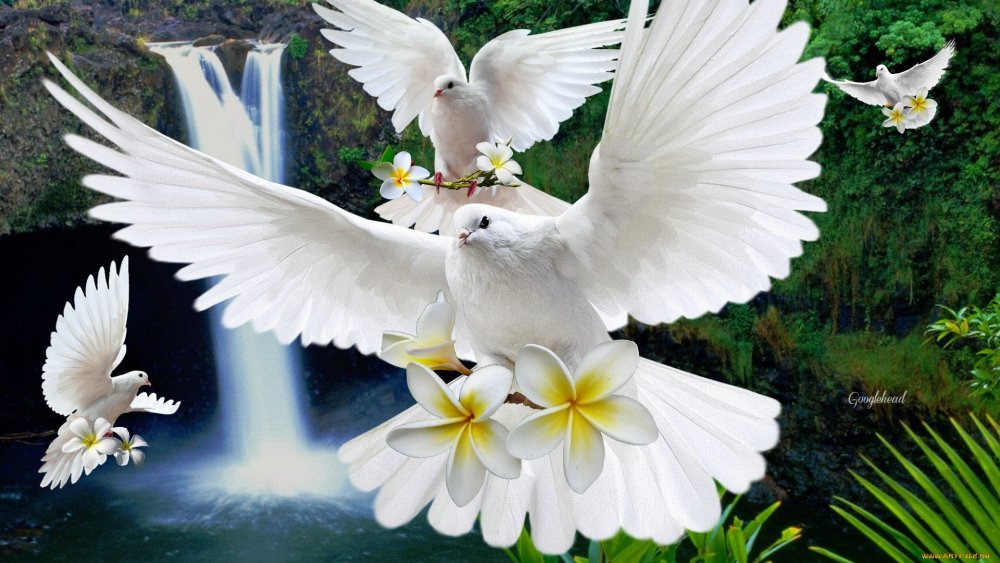 Голубь с цветочком