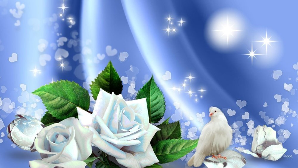 Красивый фон с голубями