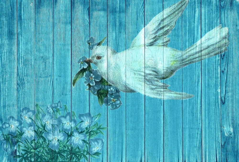 Птичка на синем фоне