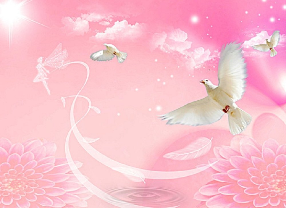 Красивый фон с голубями