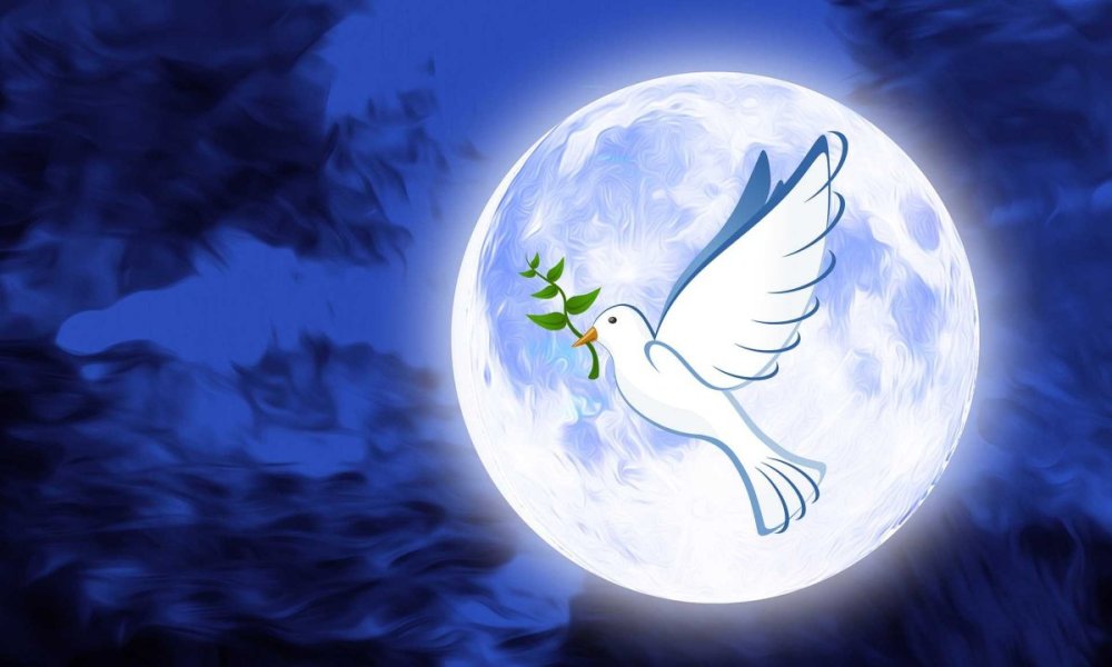 Голубь мира обои