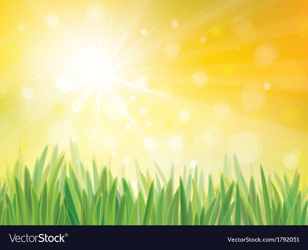 Поле солнце вектор