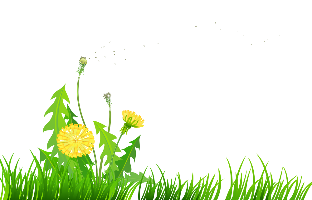 Весенний клипарт на прозрачном фоне