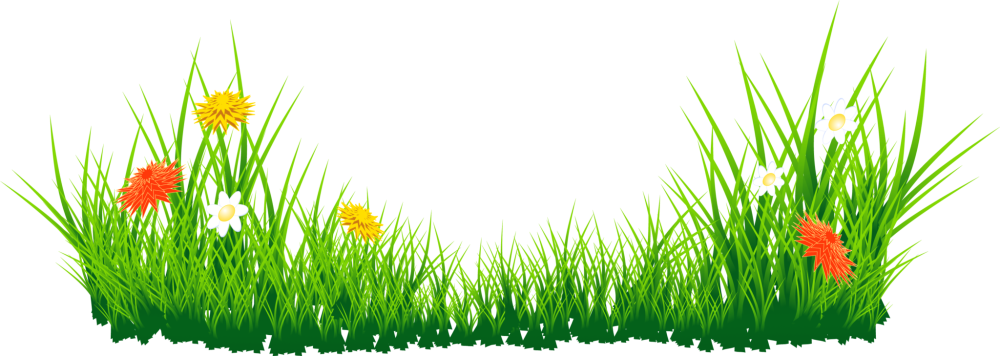 Оранжевый фон