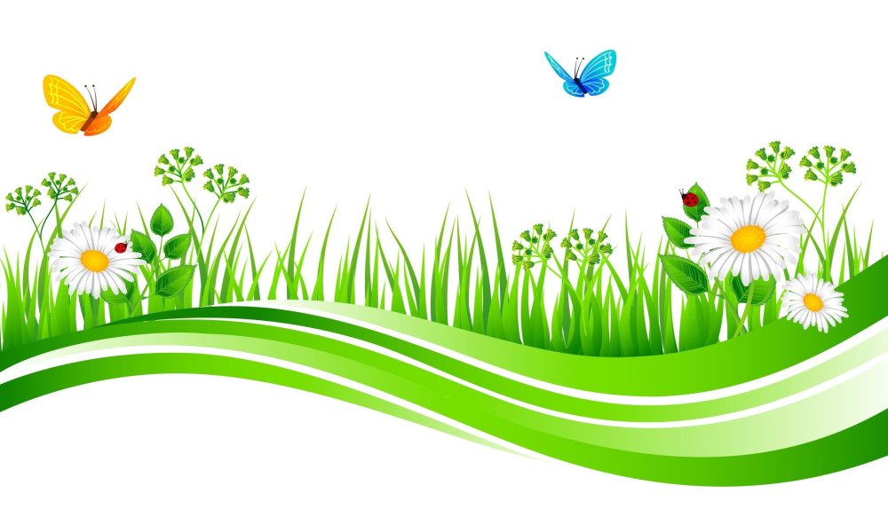 Луг на белом фоне