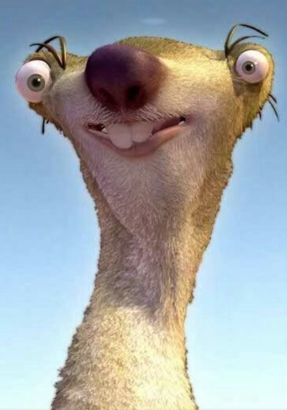 Ленивец СИД