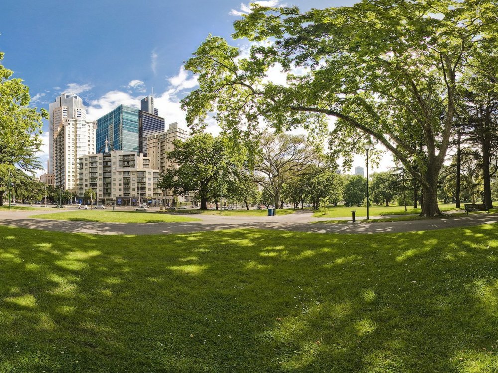 Лето в городе