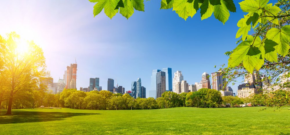 Летний день в городе