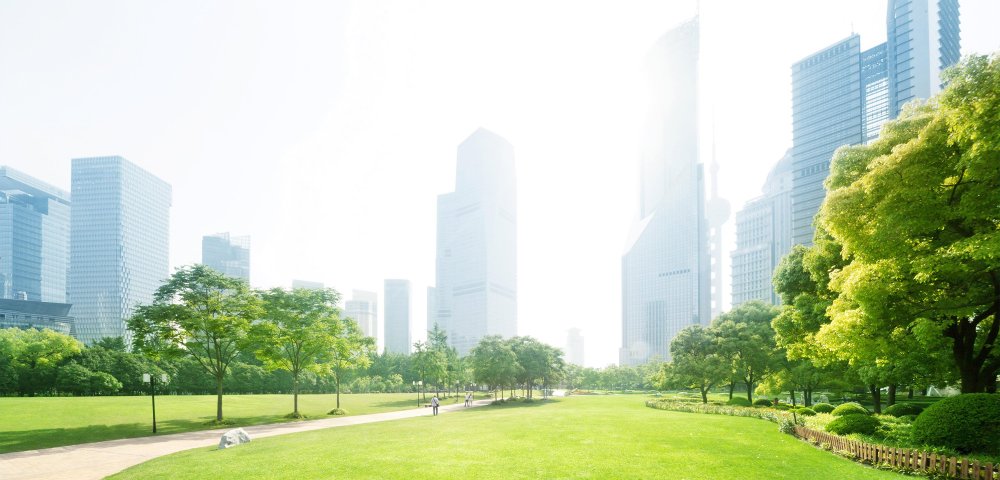 Экологичный город