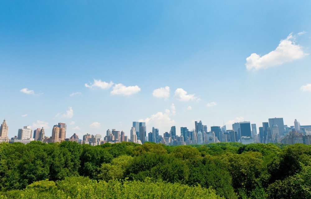Центральный парк Нью-Йорк