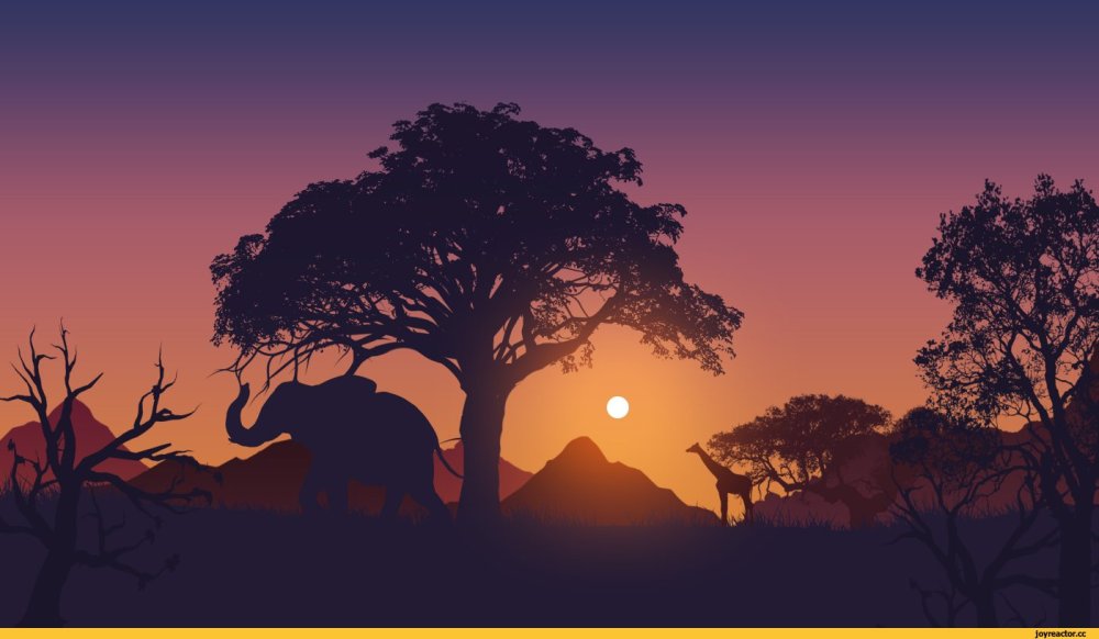 Саванна Король Лев Африка