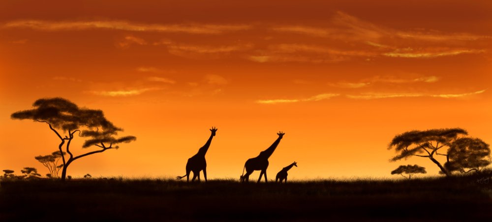 Саванна Король Лев Африка