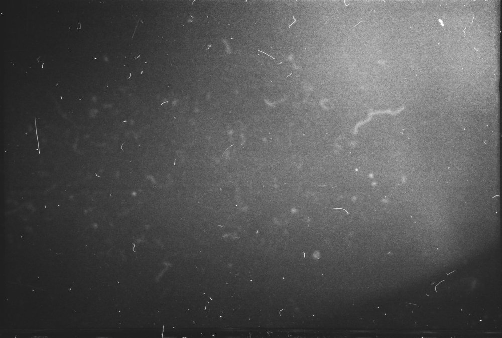 Скан пленочного зерна Ilford Delta 400pr