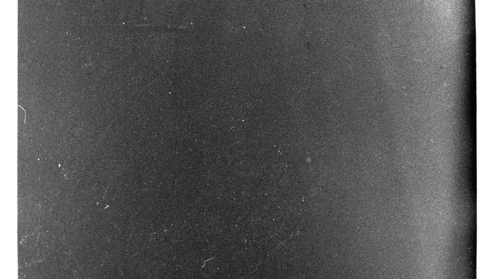 Скан пленочного зерна Ilford Delta 400pr