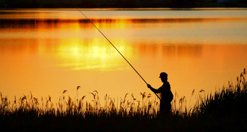 Картина рыбалка силует пейзаж