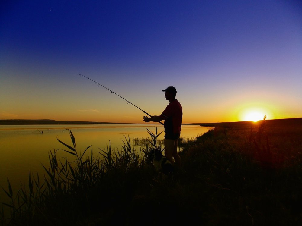 Рыбная ловля