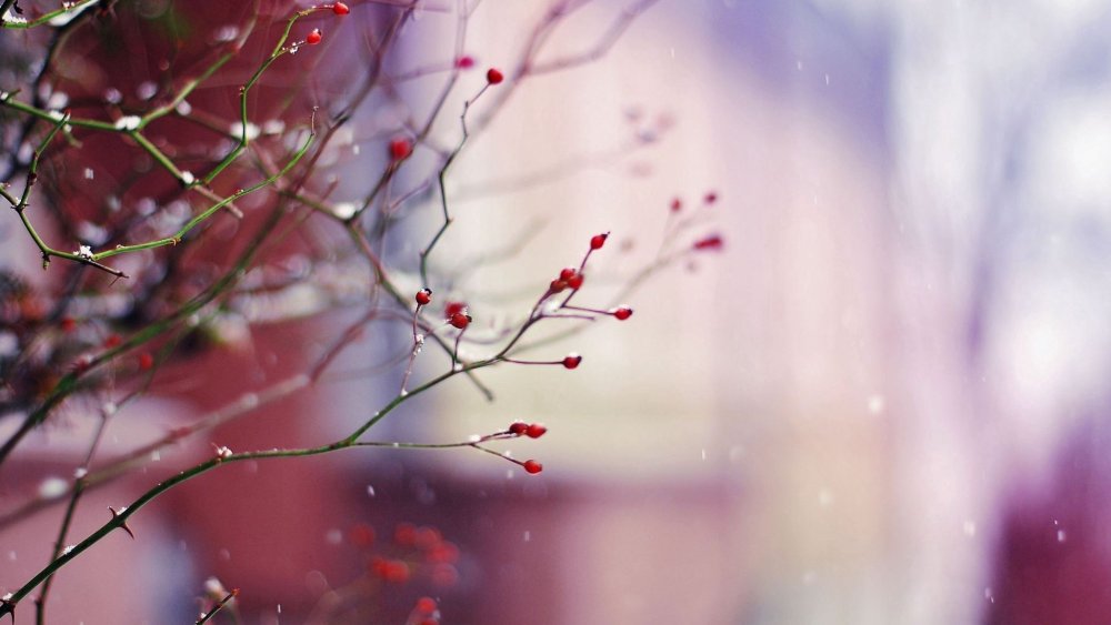 Осенне зимний фон