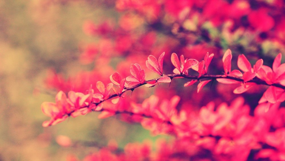 Фоновая картинка для фейсбука