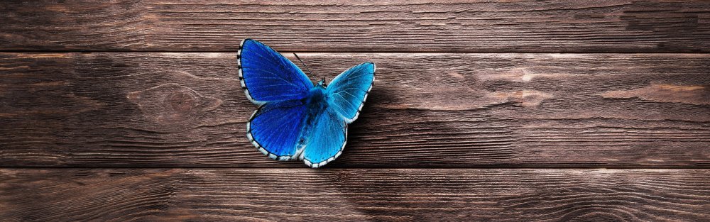 Фон дерево цветное