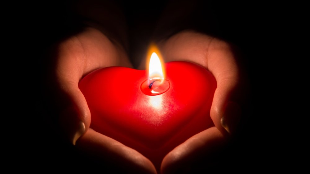 «В сердце зажжённый свет»