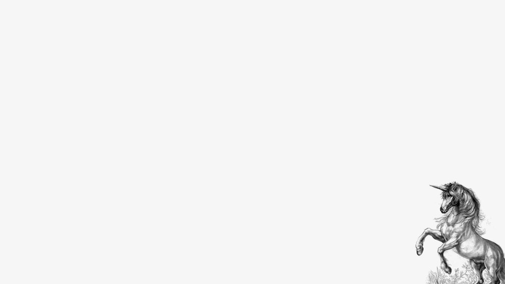 Лошадь на однотонном фоне