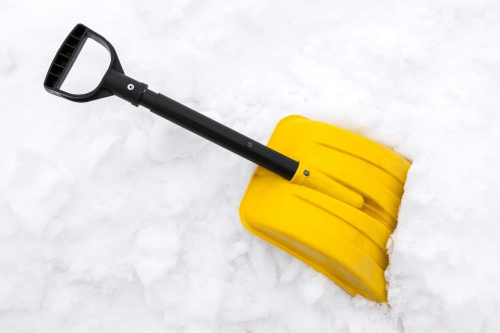 Зима лопата