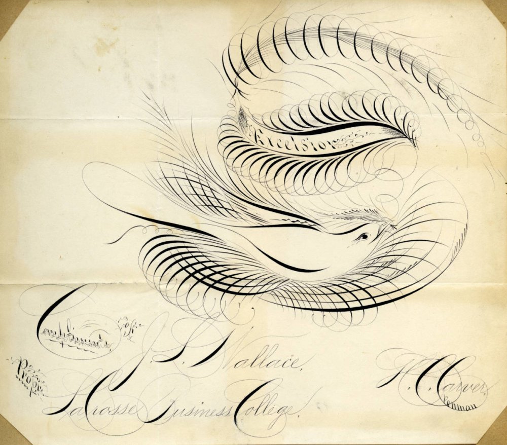 Каллиграфическое рисование