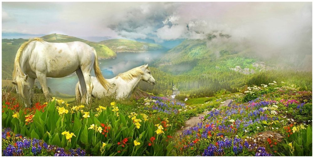 Лошади пасутся в поле